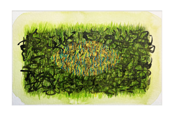 Eye of grass