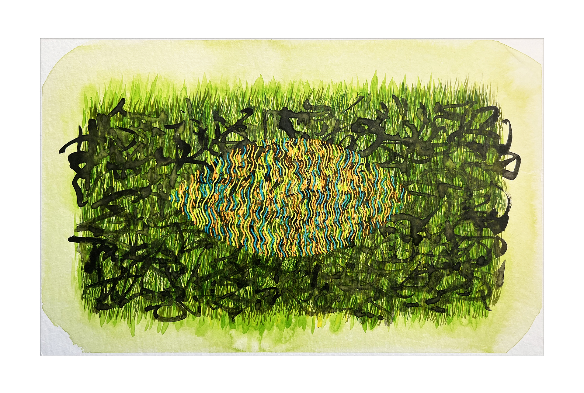Eye of grass